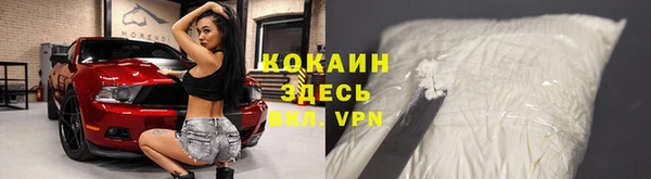 индика Беломорск