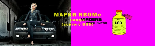 индика Беломорск