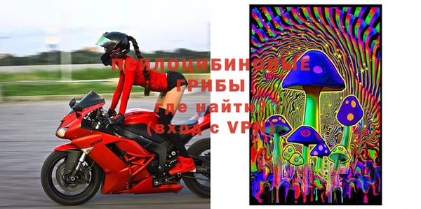 индика Беломорск