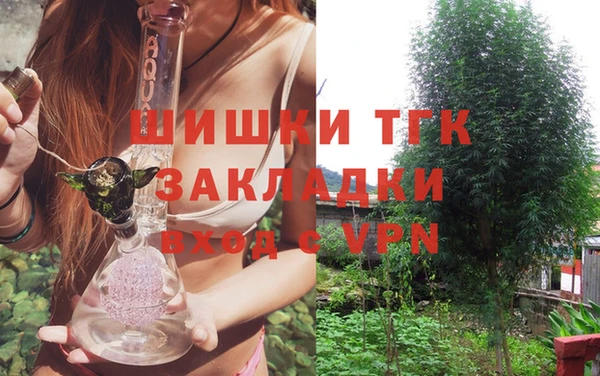 индика Беломорск