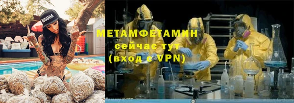 индика Беломорск