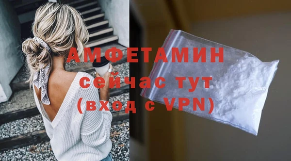 индика Беломорск