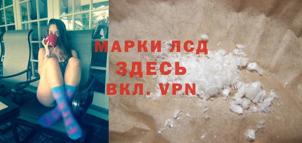 индика Беломорск