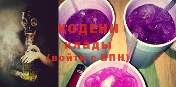 индика Беломорск