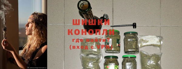 индика Беломорск