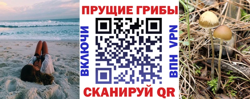 где найти   Шиханы  Псилоцибиновые грибы мухоморы 